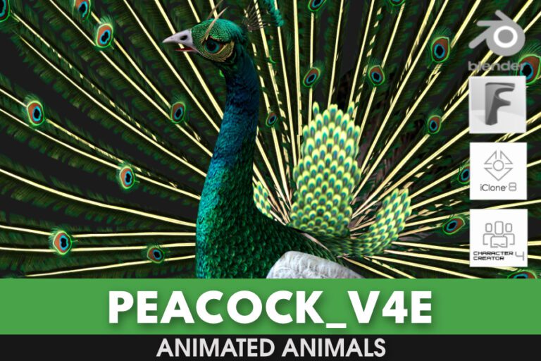 Peacock_V4E - ANIMATED