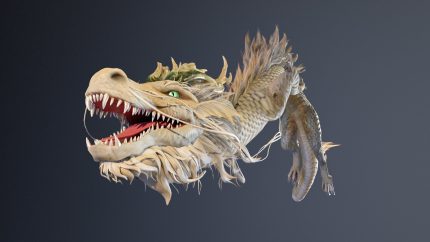 Alternative view of Dragon Ver5_Final1