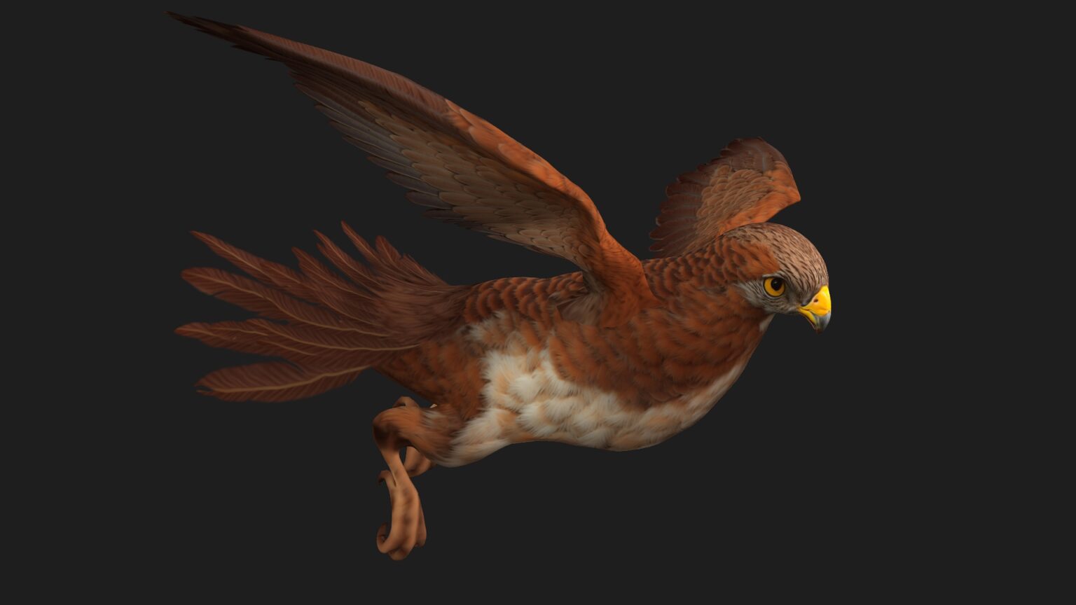 Kestrel_B1 - ANIMATED