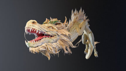 Alternative view of Dragon Ver5_Final2