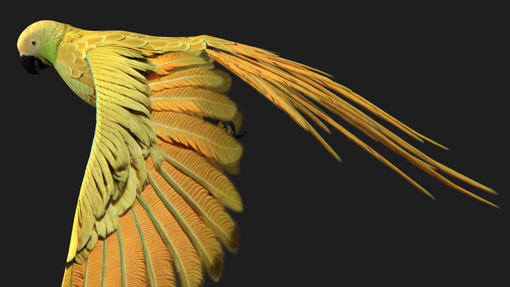 Parrot_A7 - ANIMATED