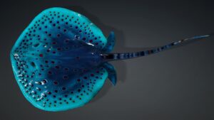 Ray Fish_A1 - ANIMATED