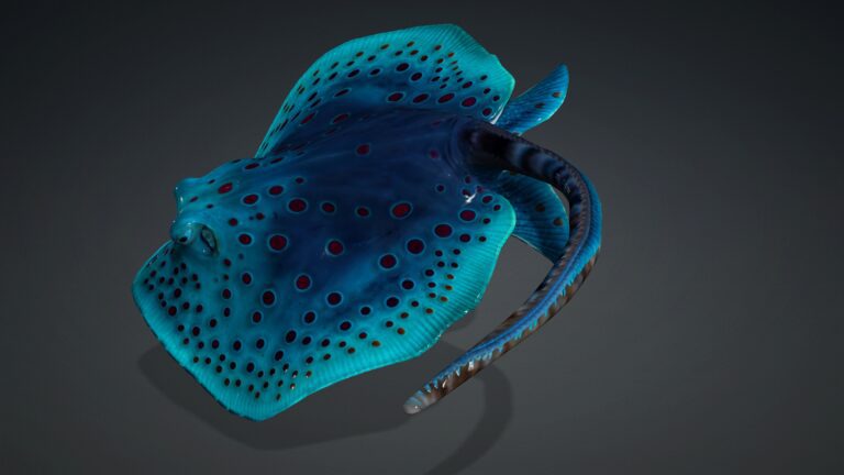 Ray Fish_A1 - ANIMATED