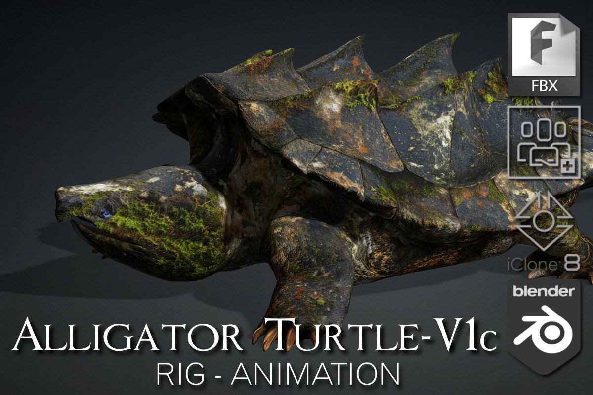 Alligator Turtle_V1c