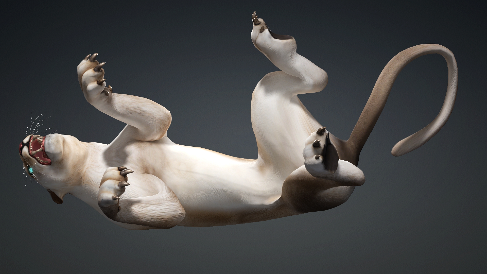 Leopard Hybrid_B4 - Image 12