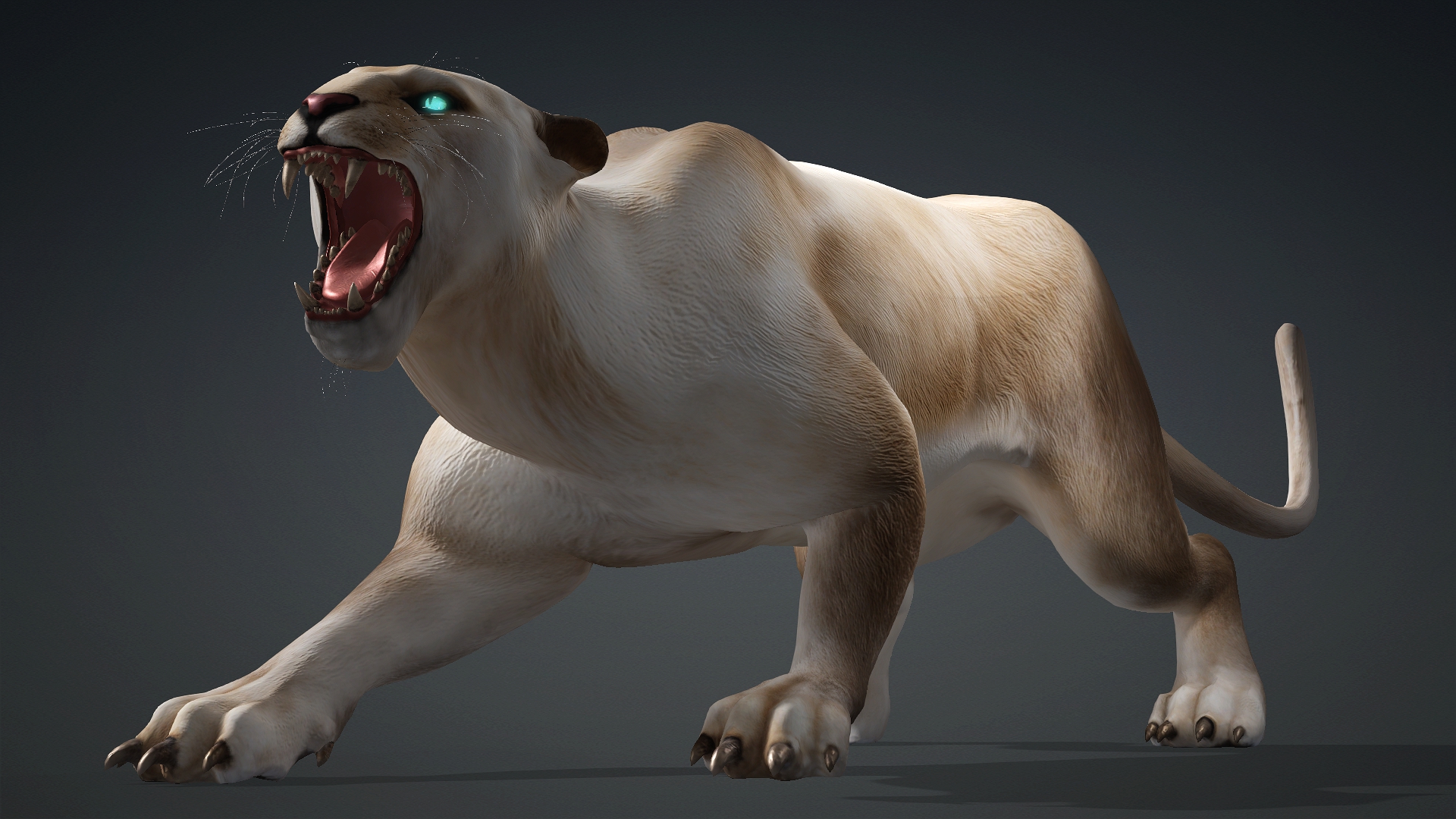 Leopard Hybrid_B4 - Image 16