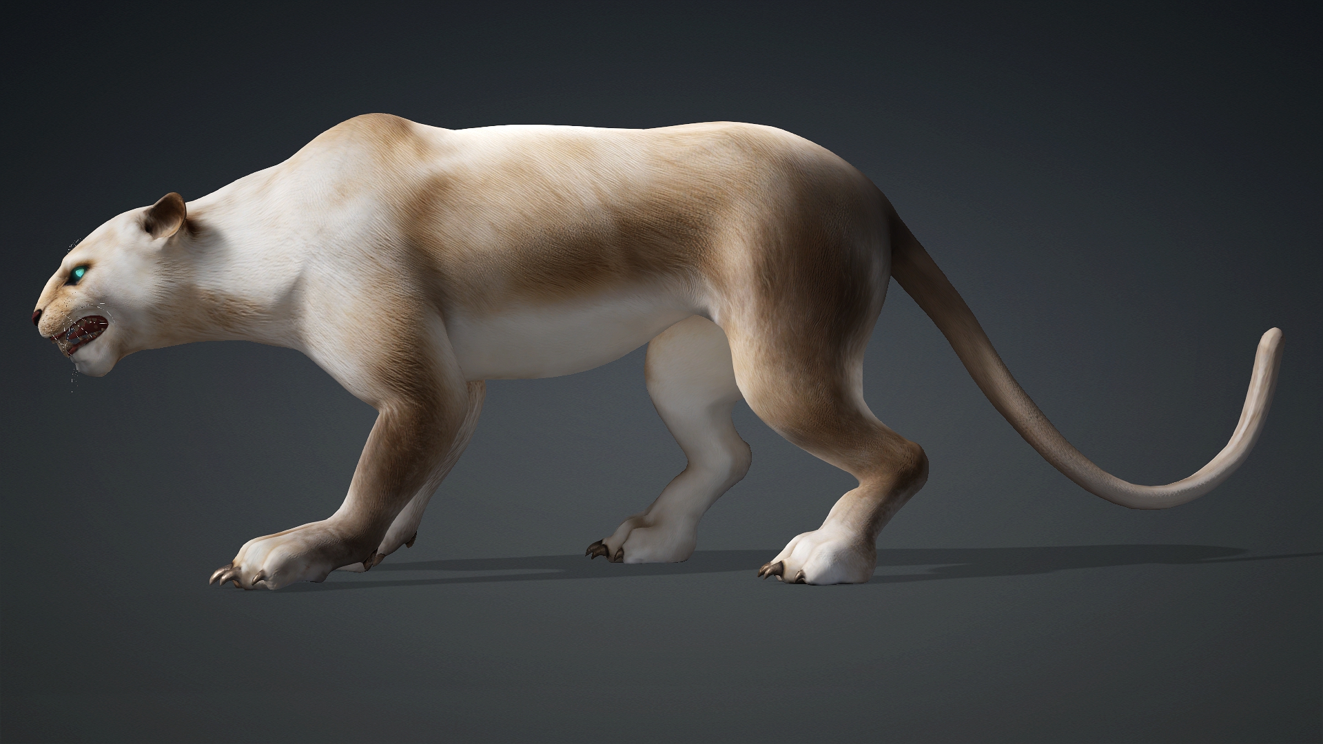 Leopard Hybrid_B4 - Image 4