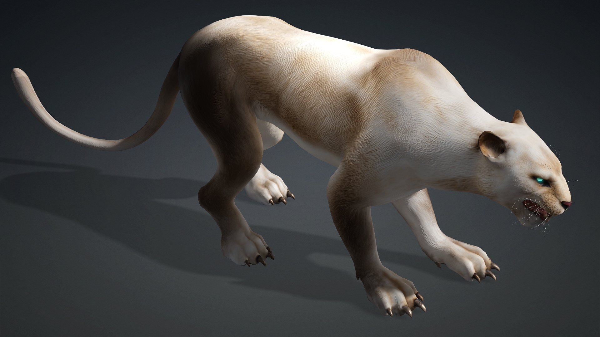 Leopard Hybrid_B4 - Image 5