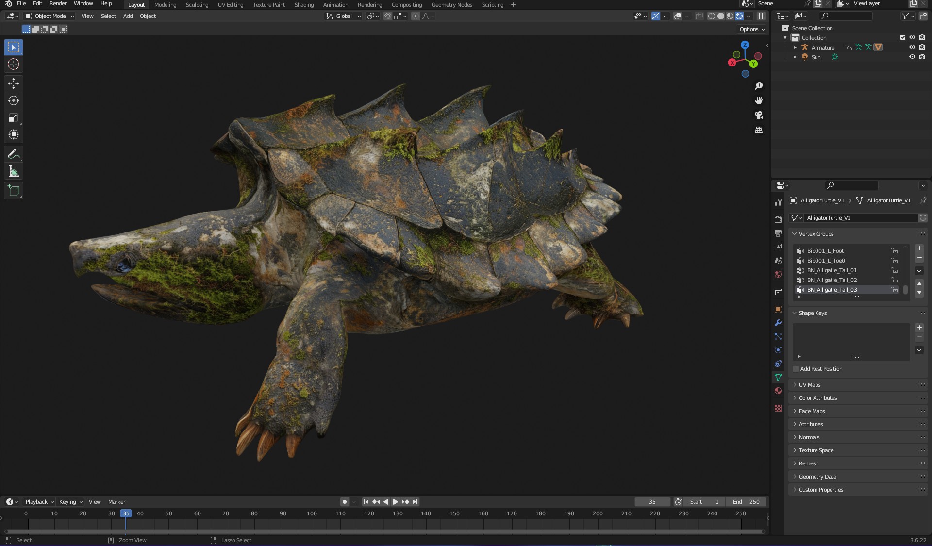 Alligator Turtle_V1c - Image 18