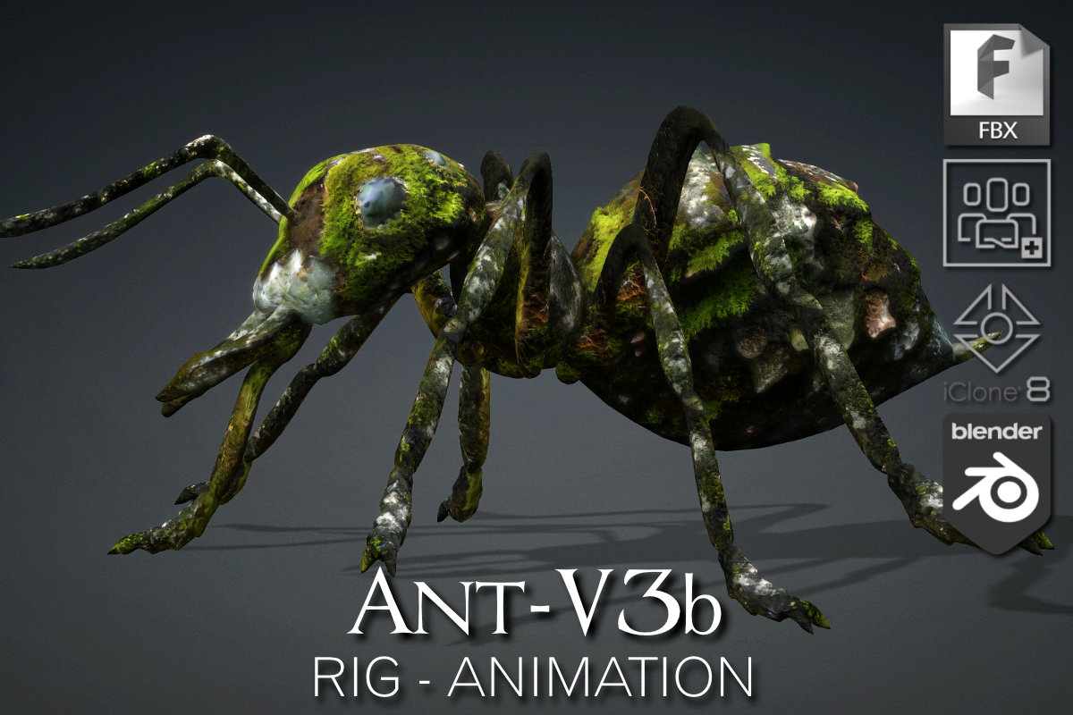 Ant_V3b