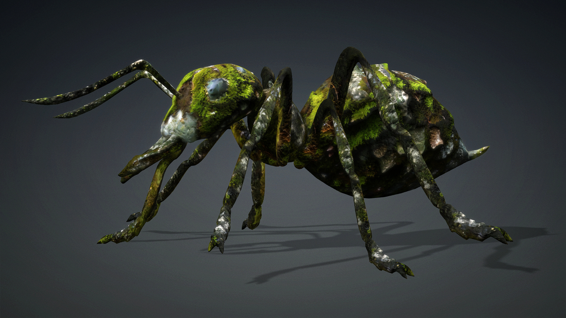 Ant_V3b - Image 2