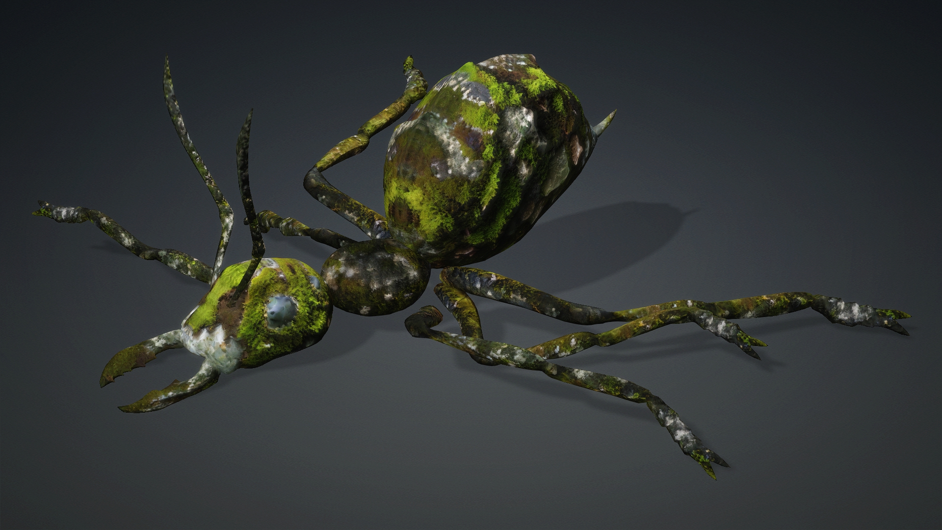Ant_V3b - Image 18