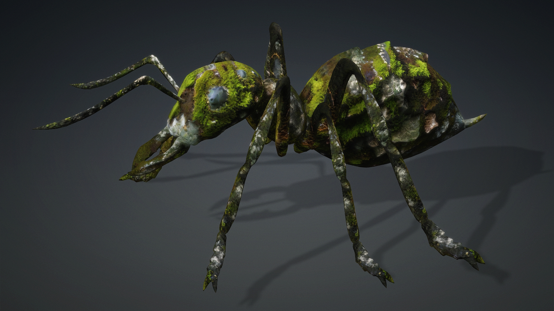 Ant_V3b - Image 4