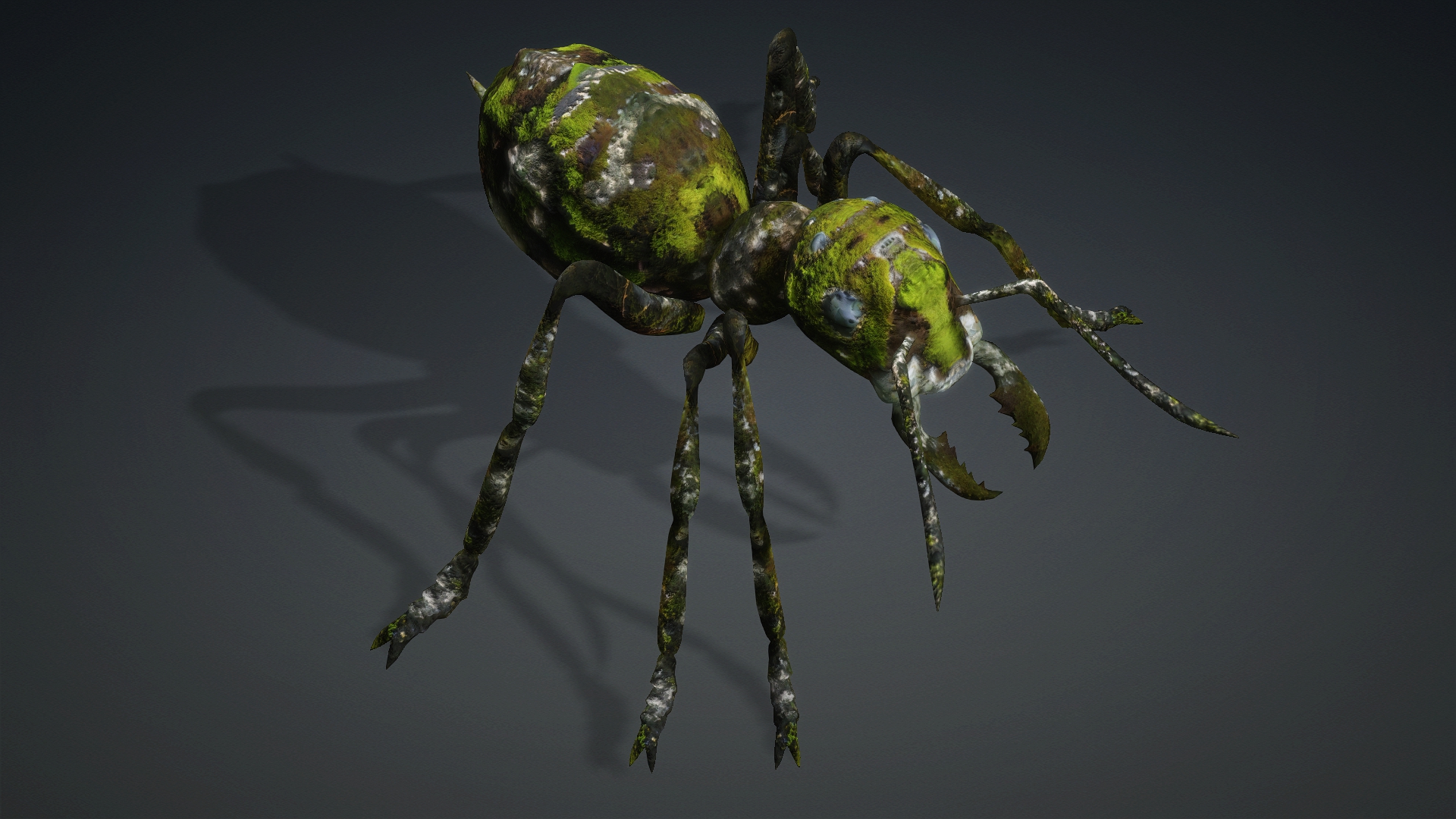 Ant_V3b - Image 5