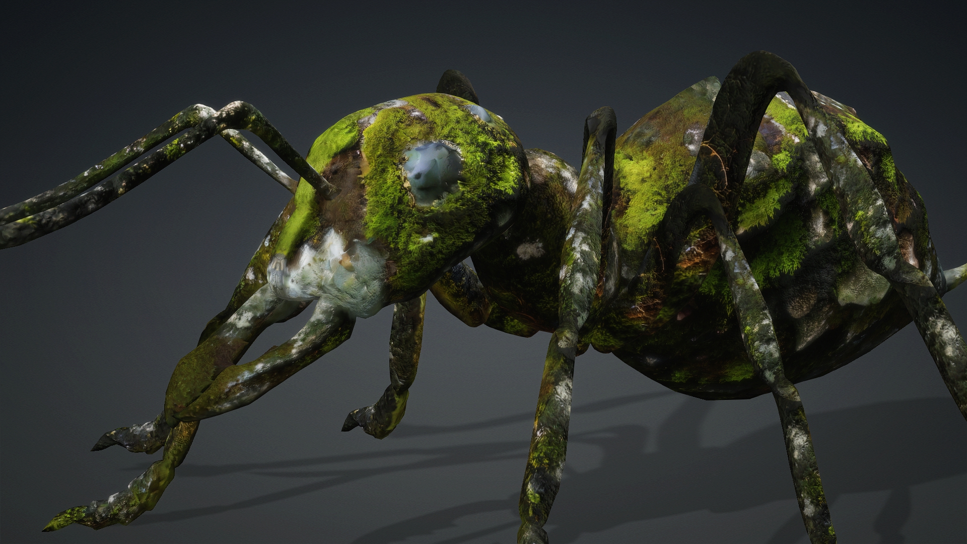 Ant_V3b - Image 6