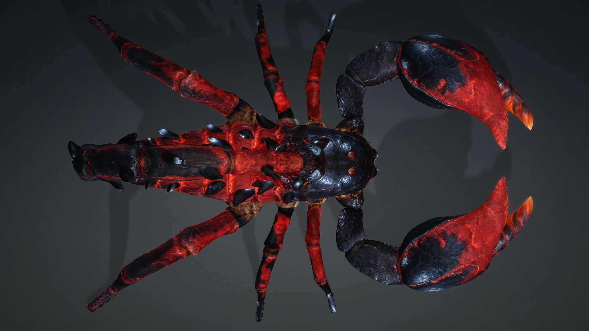 Scorpion_V5a - Image 5