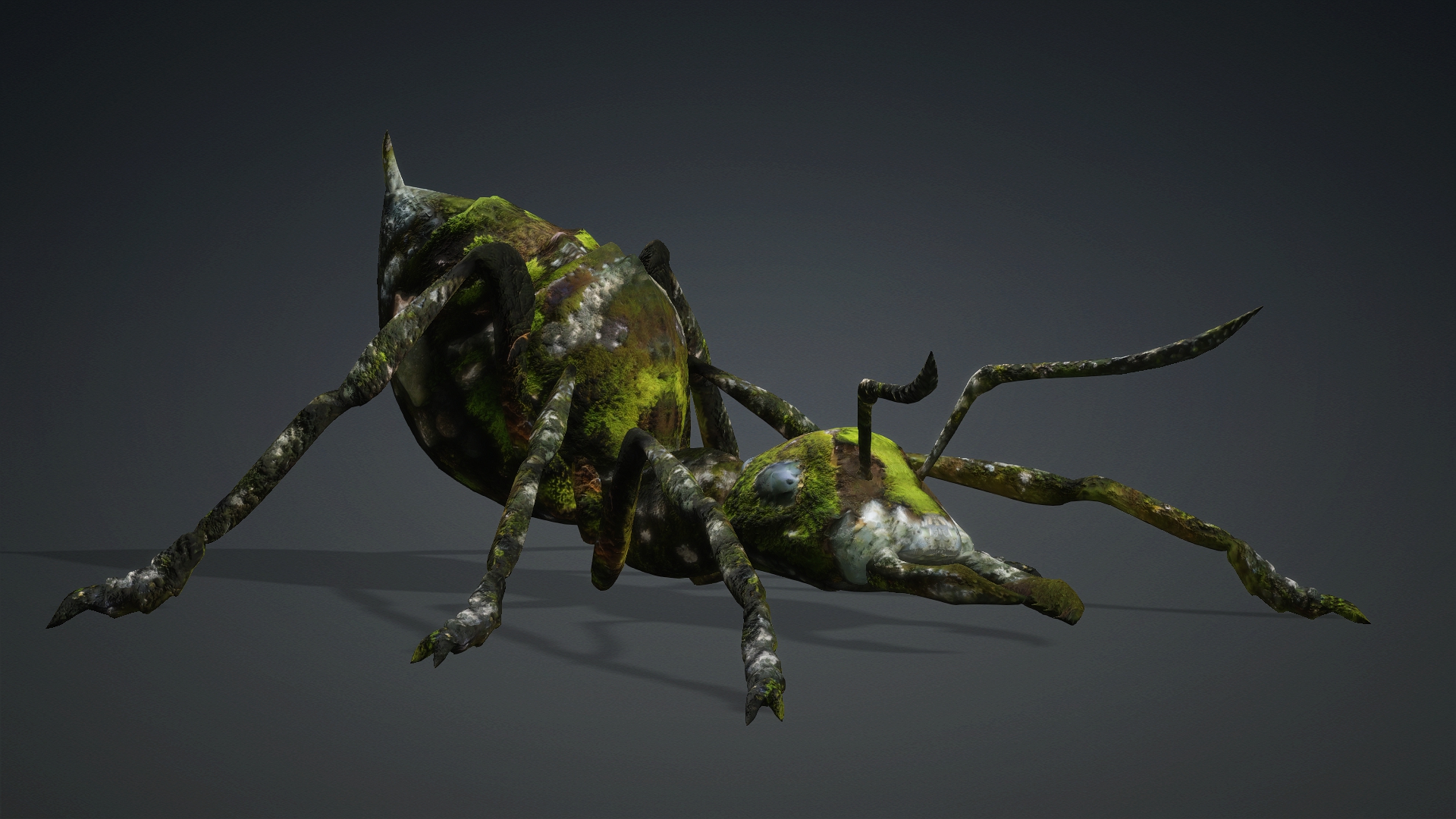 Ant_V3b - Image 8