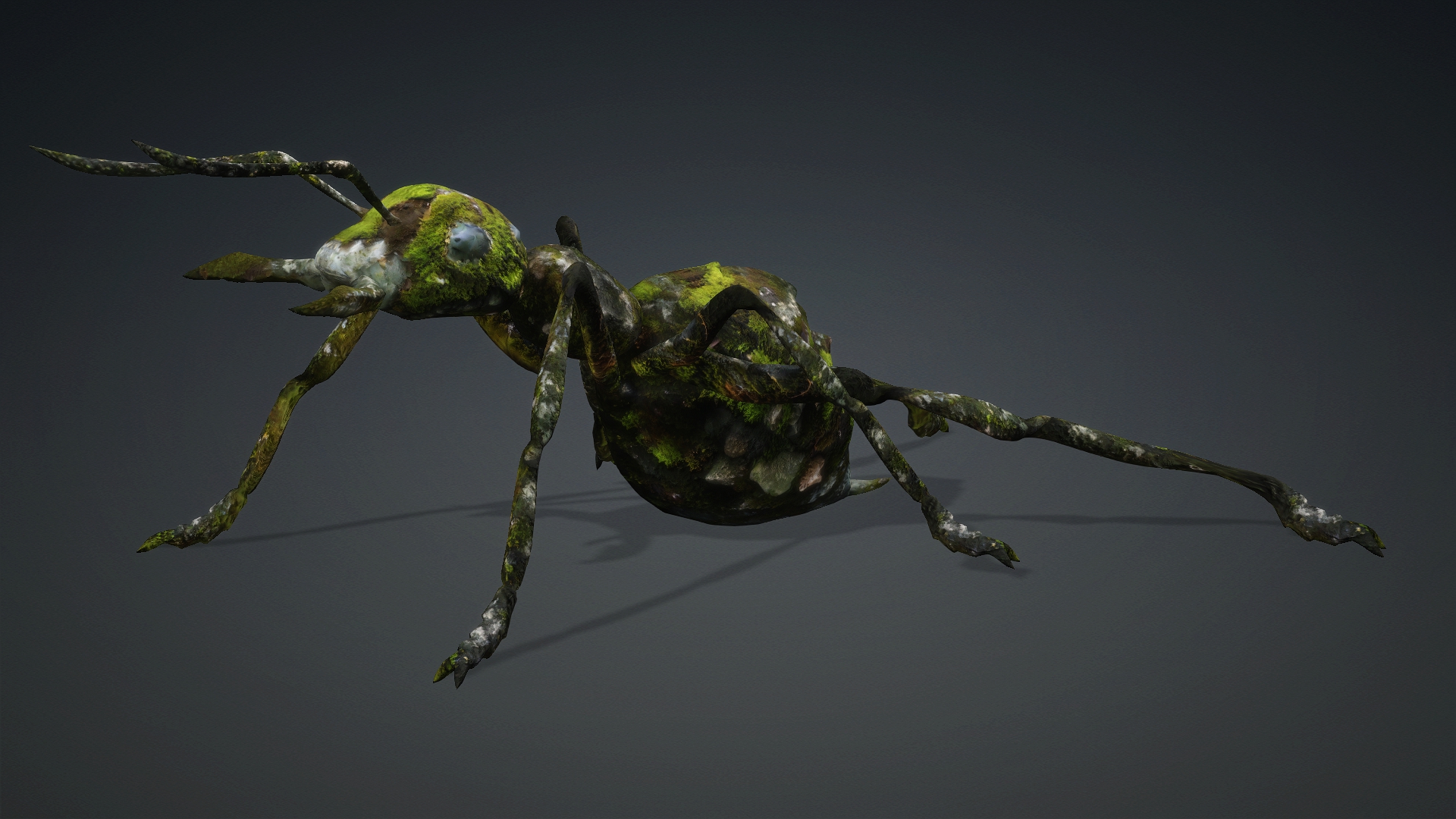 Ant_V3b - Image 9