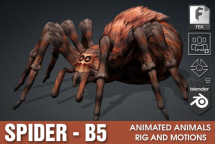 Spider_B5