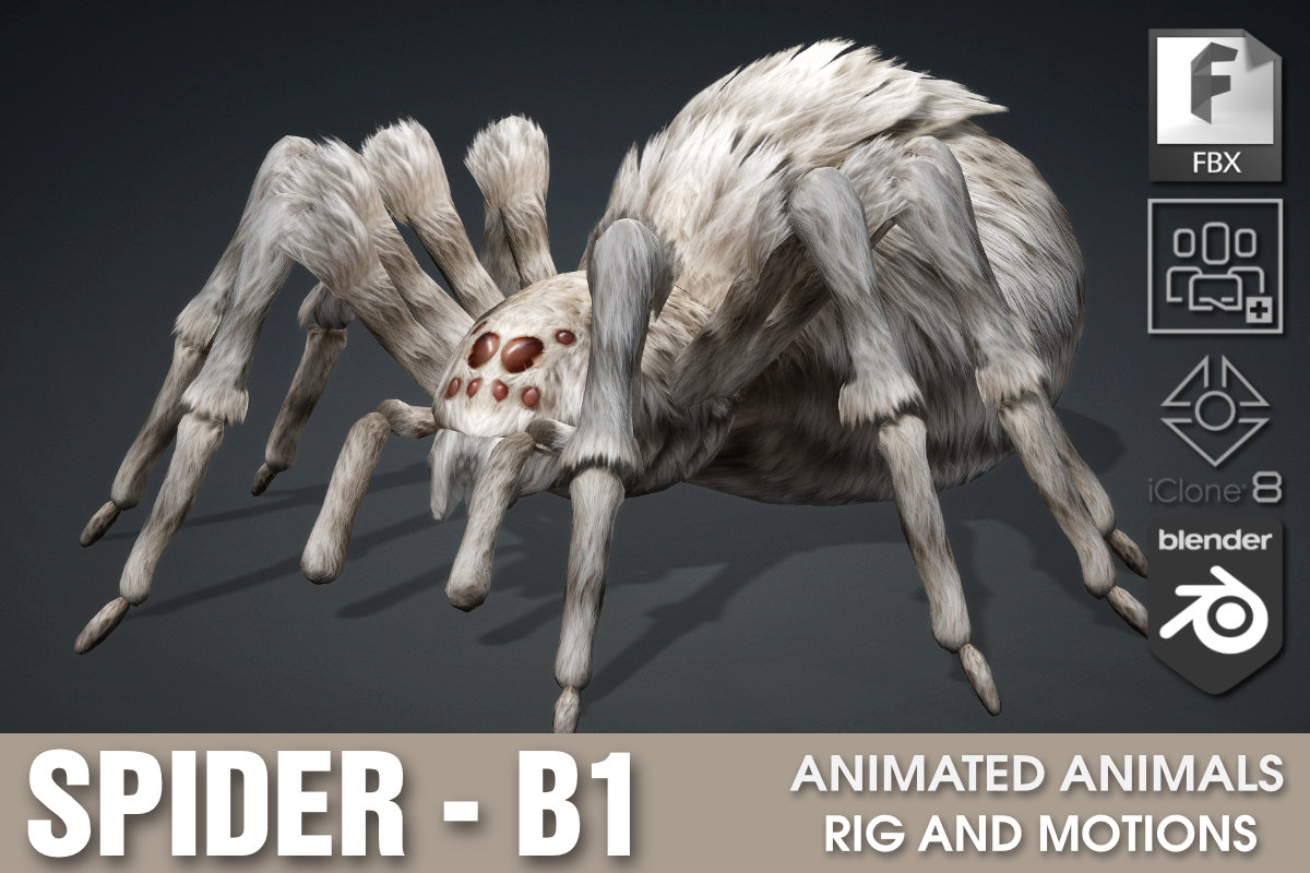 Spider_B1