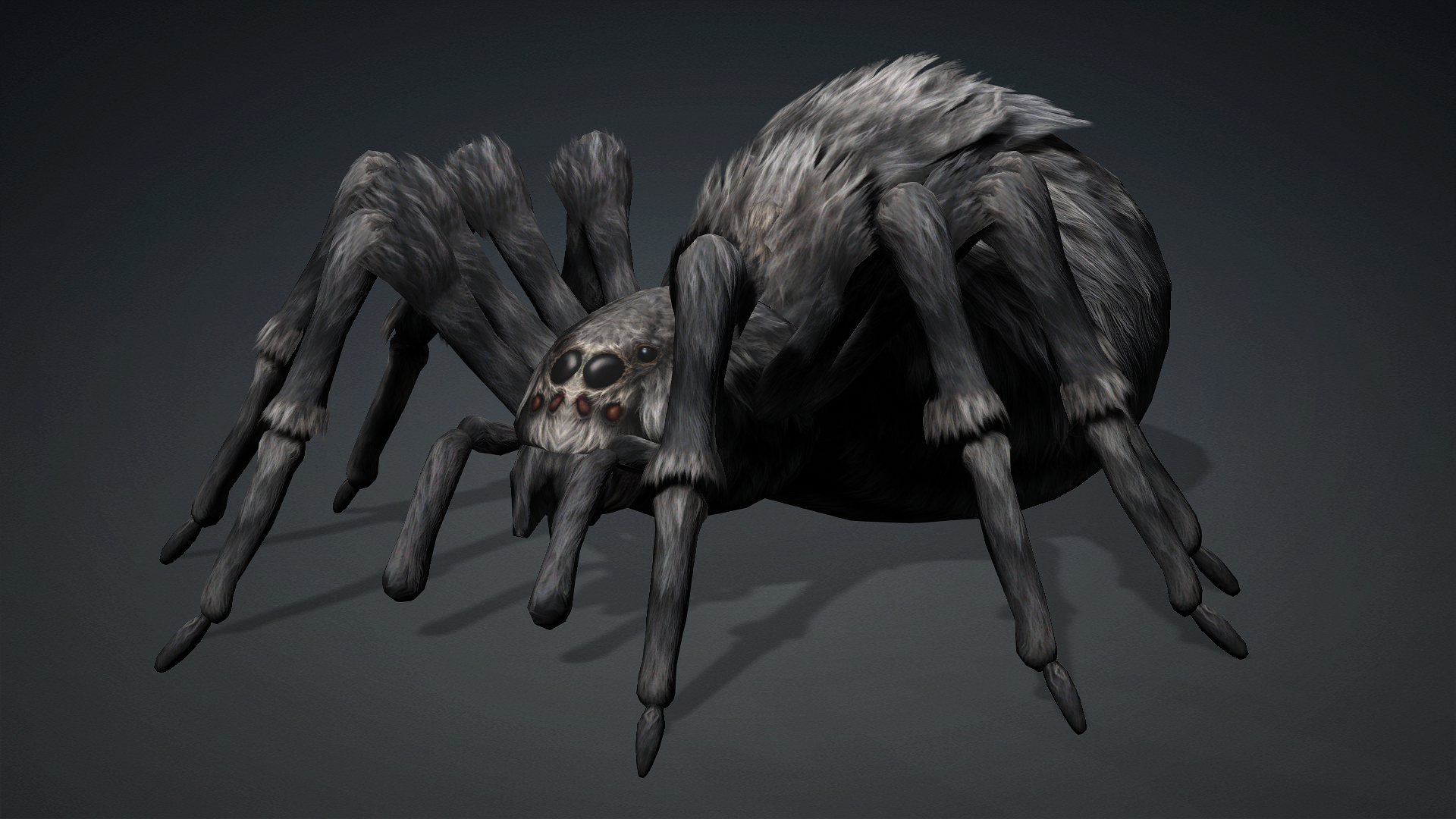 Spider_B2 - Image 2