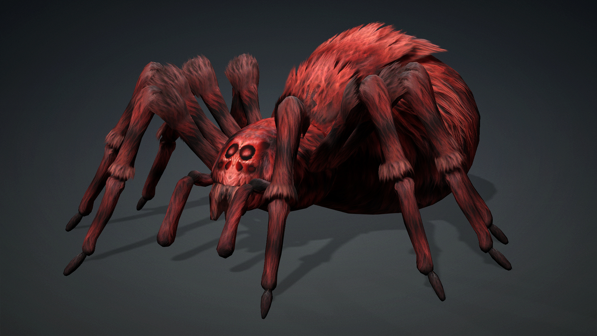 Spider_B3 - Image 2