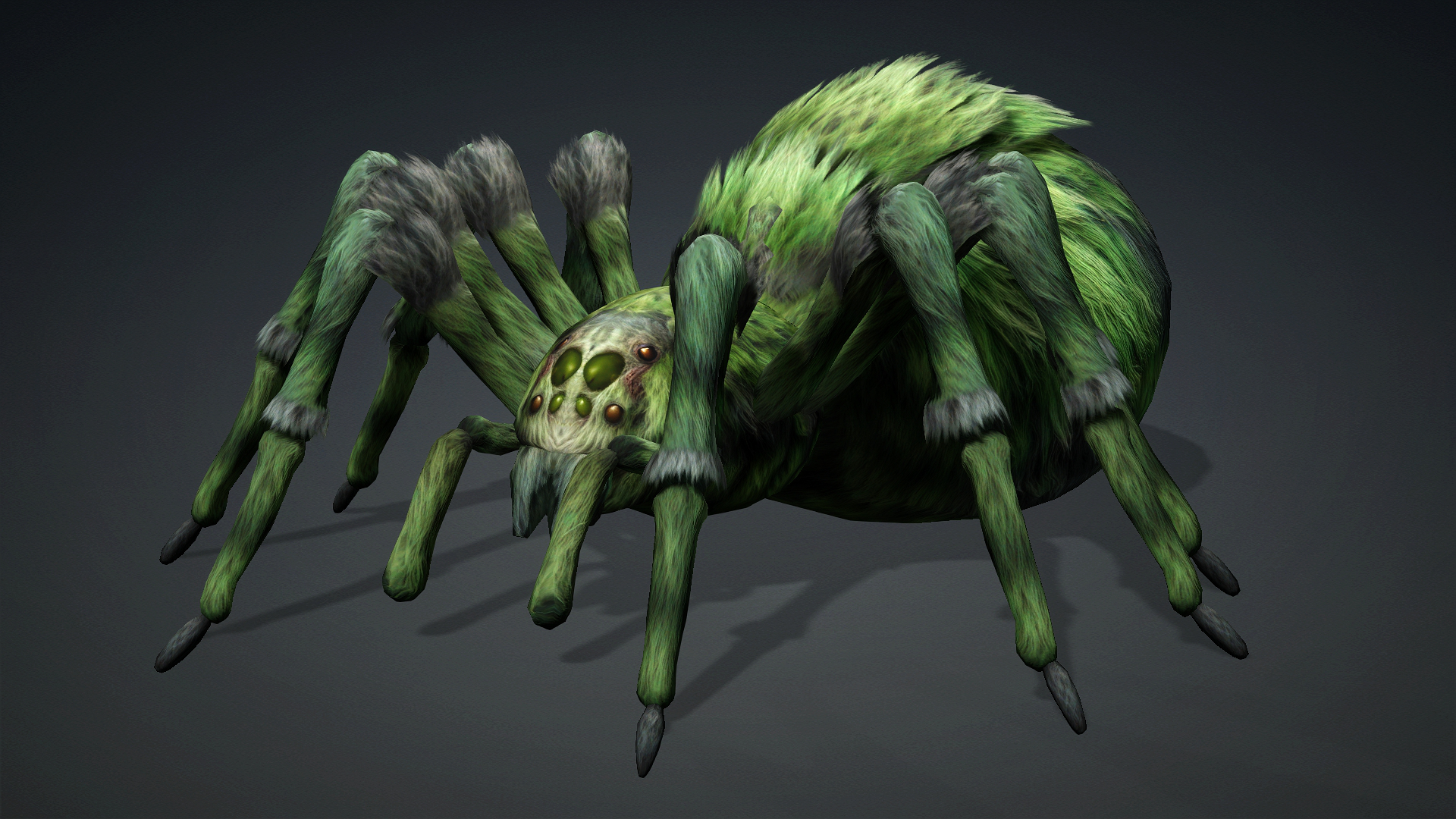 Spider_B4 - Image 2