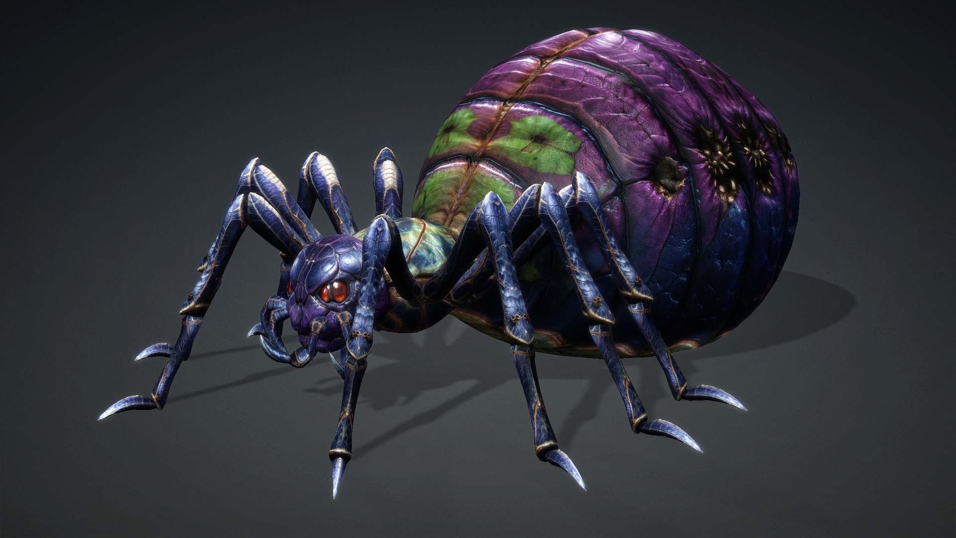 Spider_C3 - Image 2