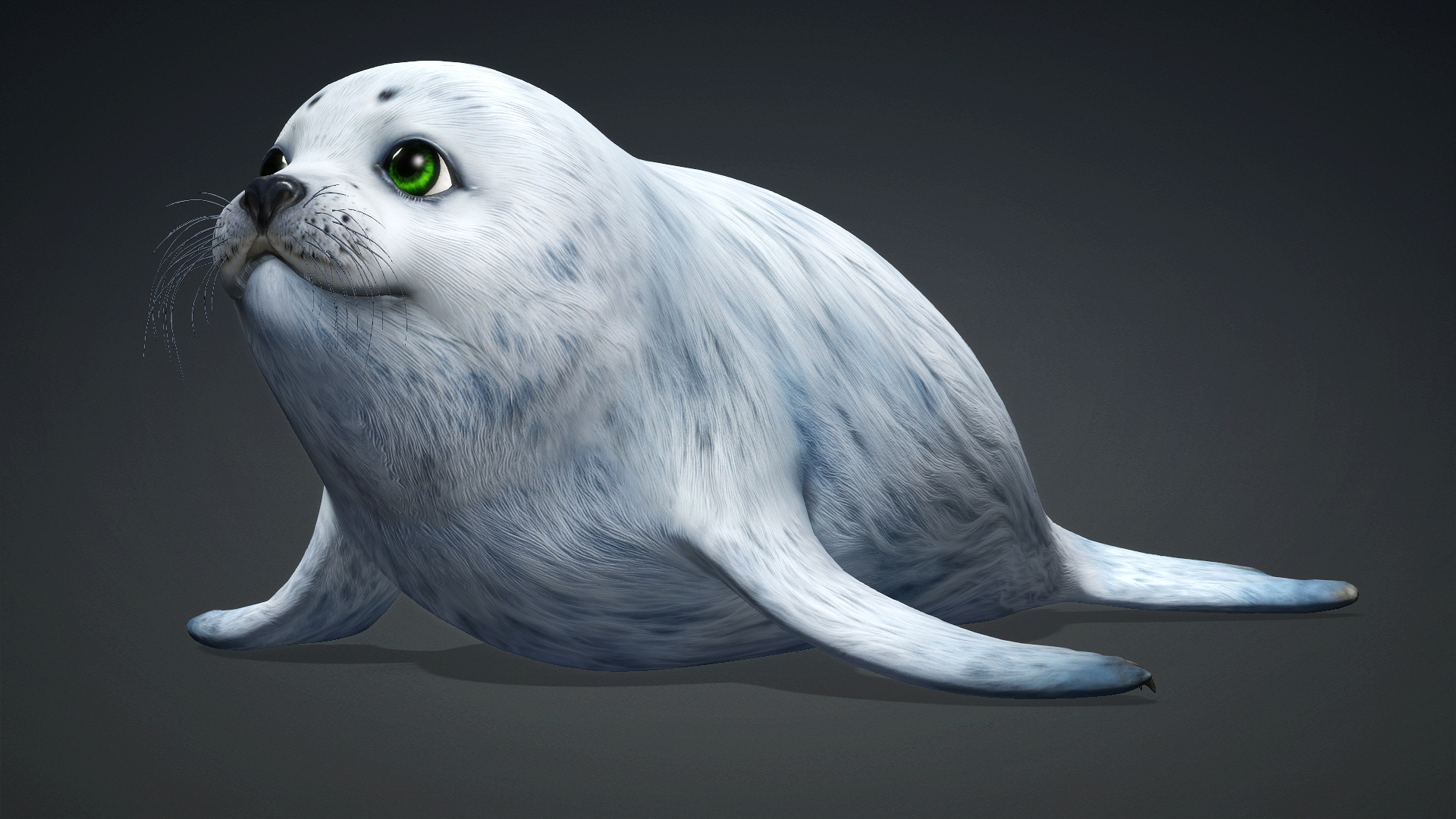 Harp Seal_A5 - Image 2