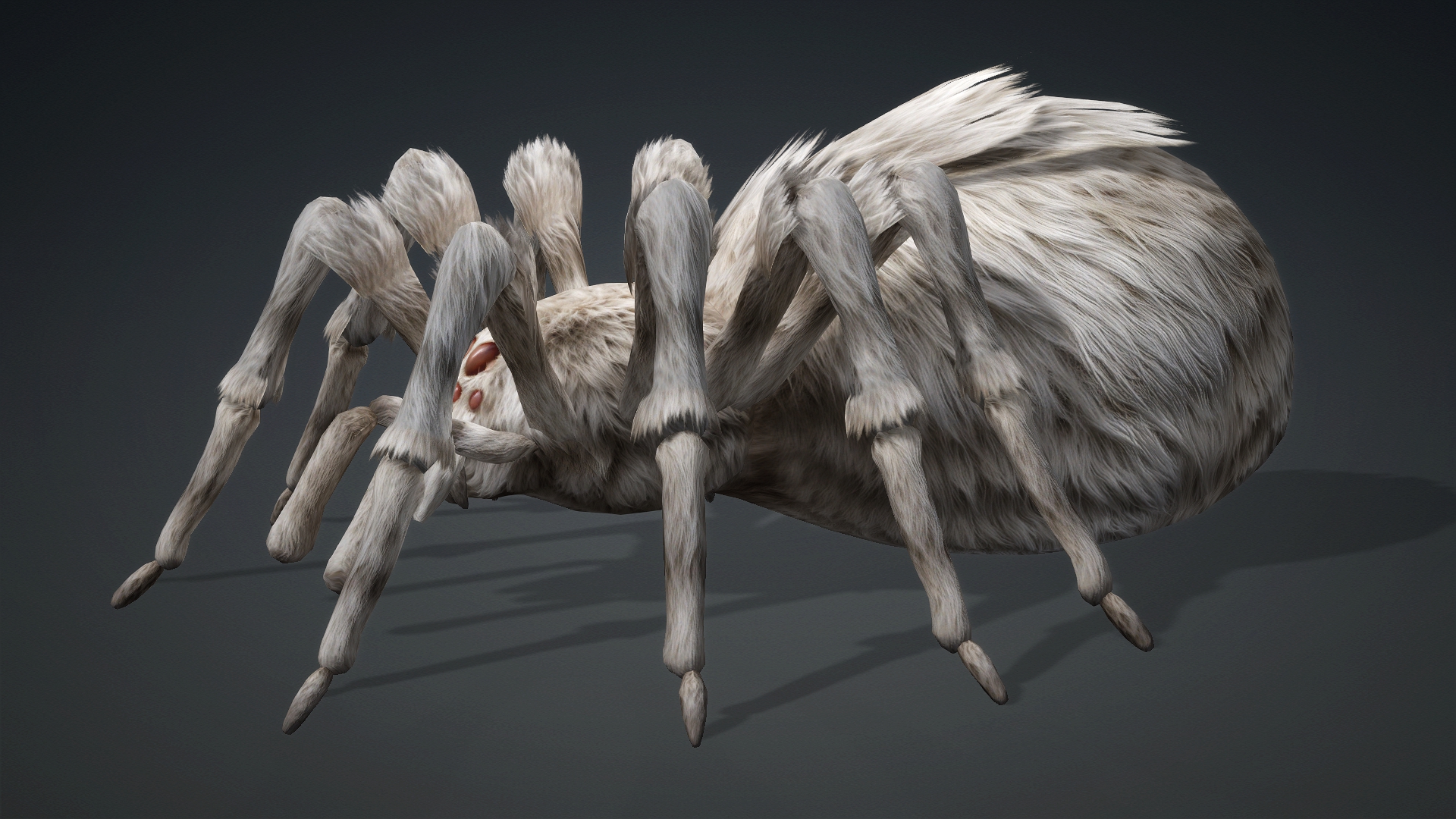 Spider_B1 - Image 3