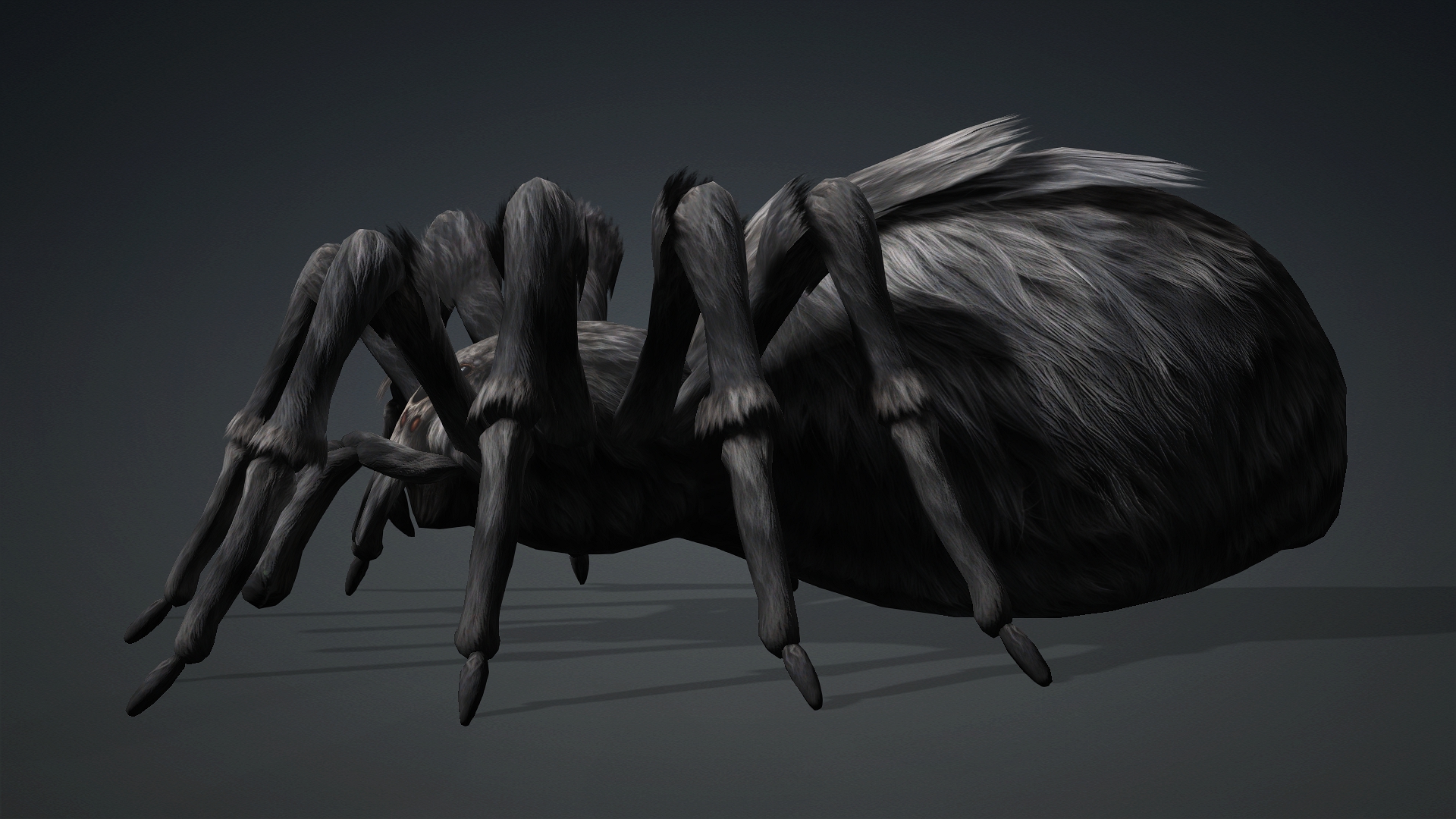 Spider_B2 - Image 3