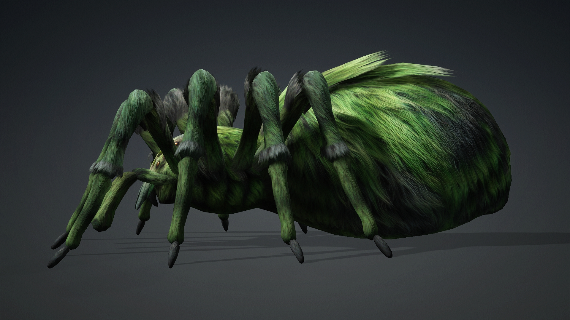 Spider_B4 - Image 3