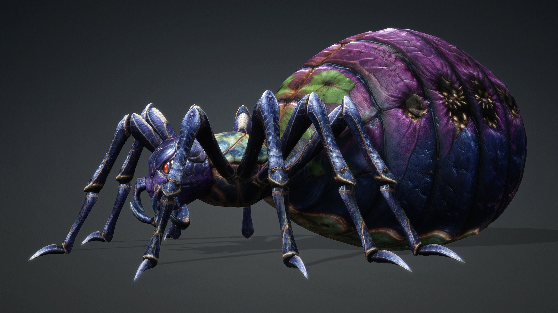 Spider_C3 - Image 3