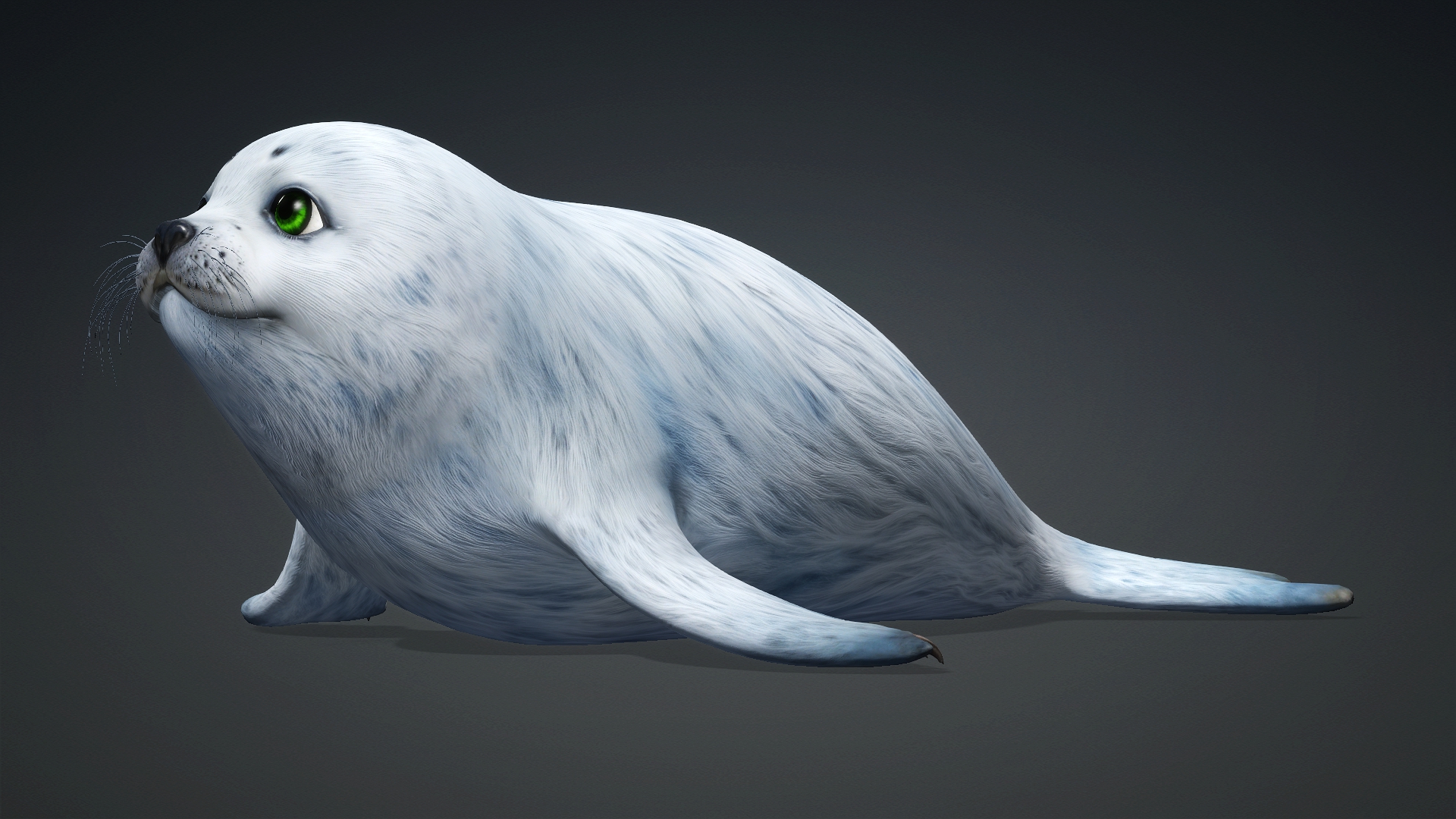 Harp Seal_A5 - Image 3