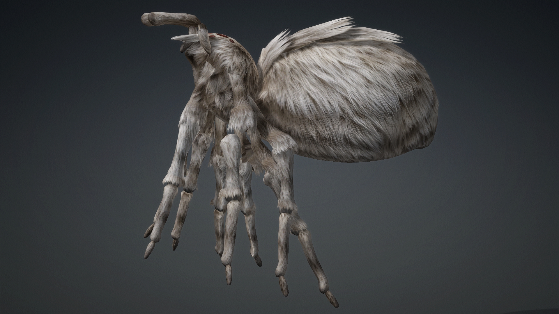 Spider_B1 - Image 12