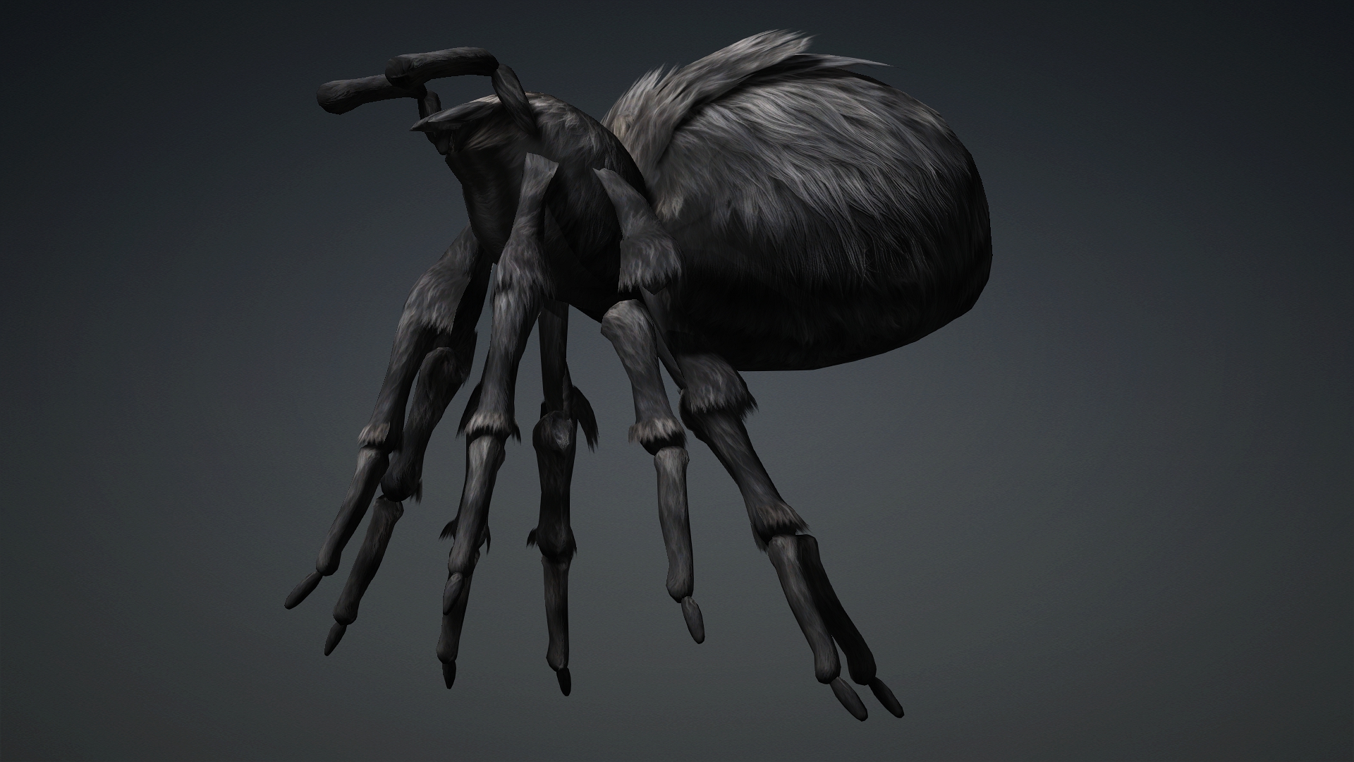 Spider_B2 - Image 12