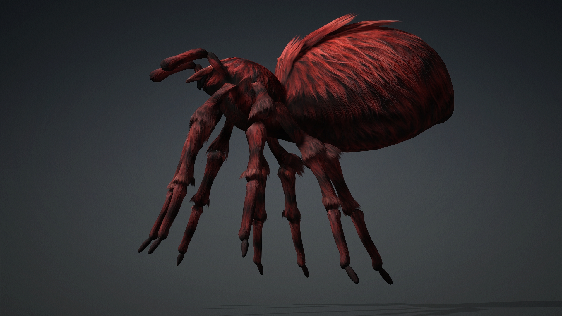 Spider_B3 - Image 12