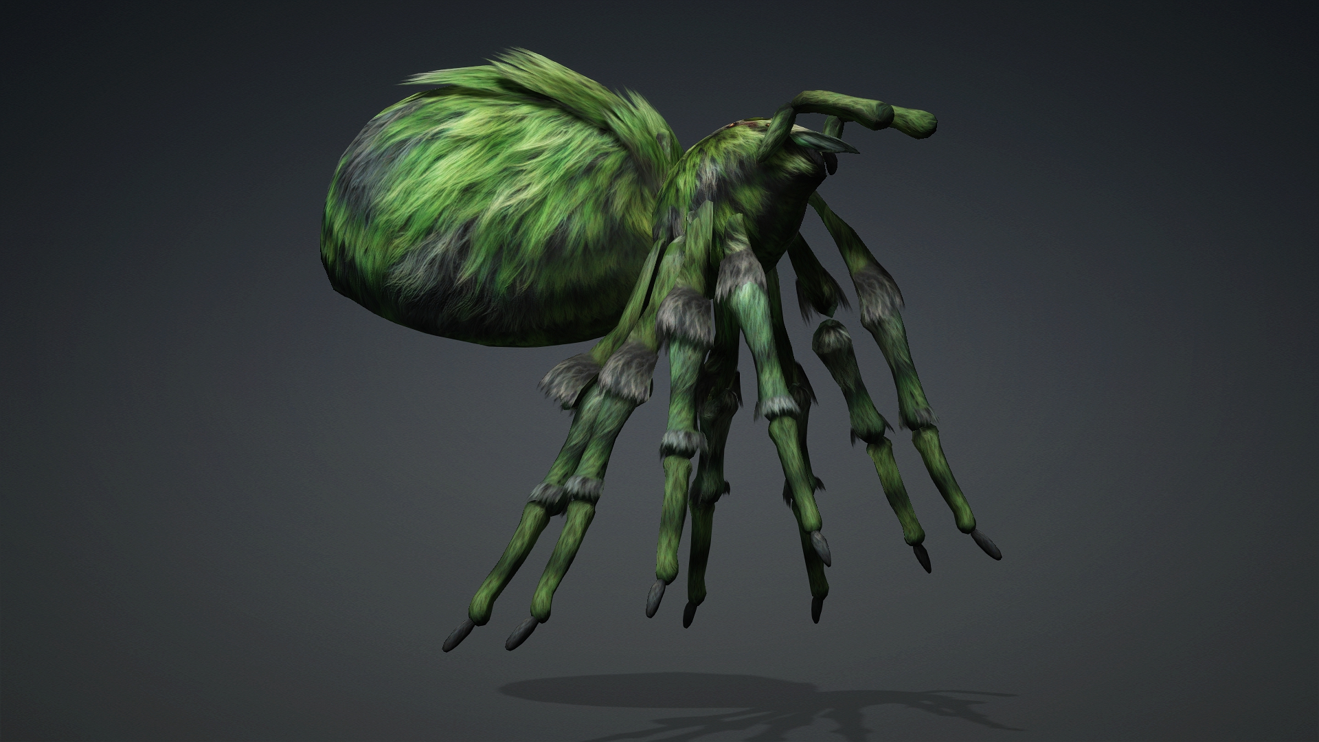 Spider_B4 - Image 12