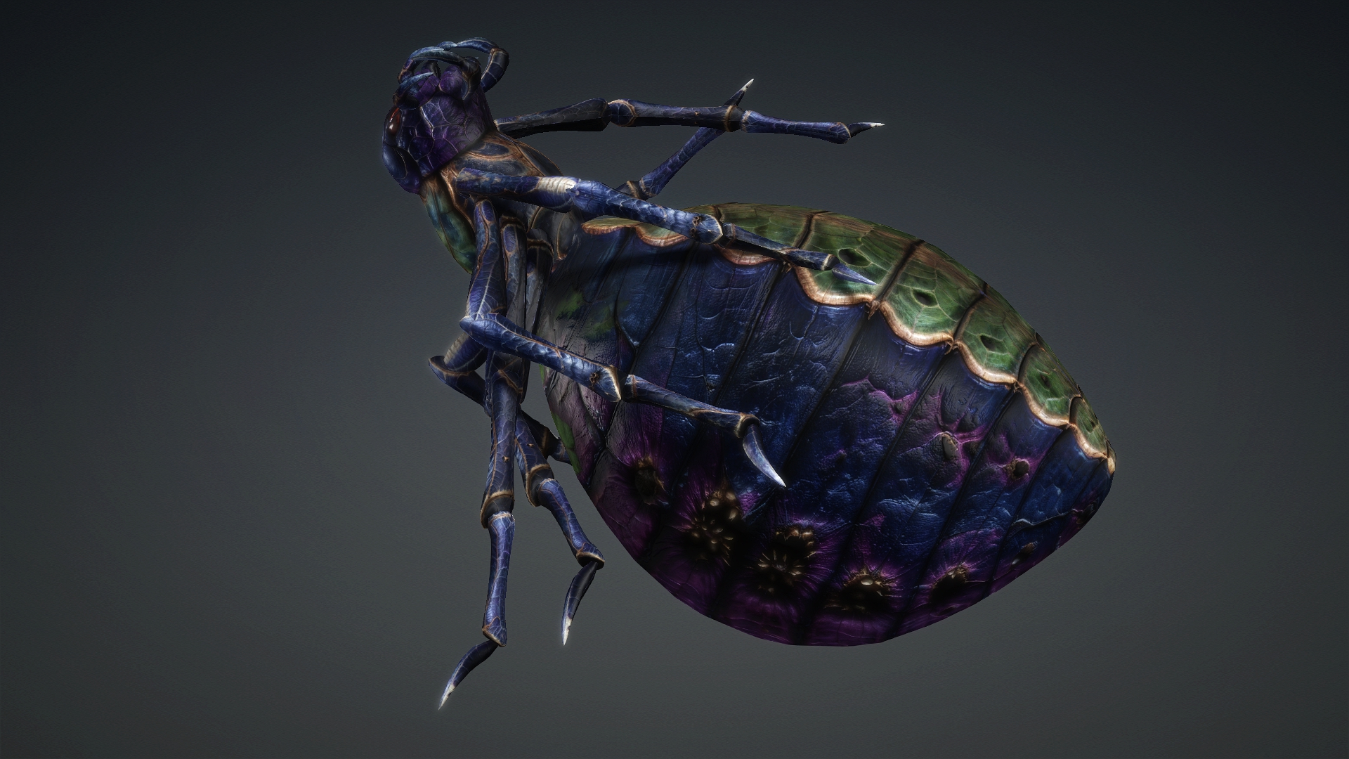 Spider_C3 - Image 12