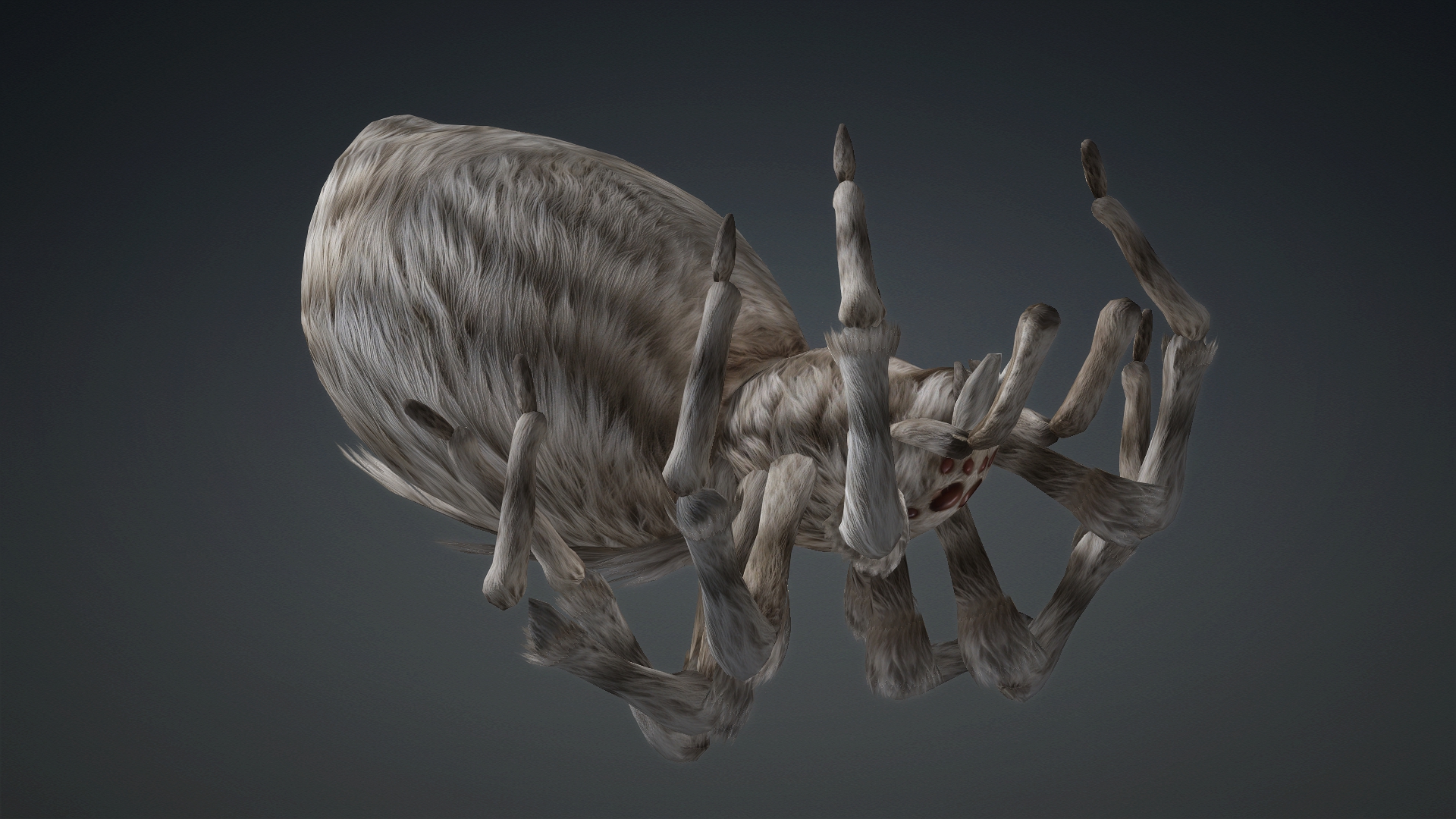 Spider_B1 - Image 13