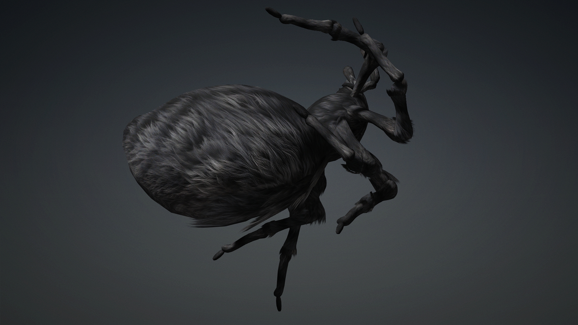 Spider_B2 - Image 13