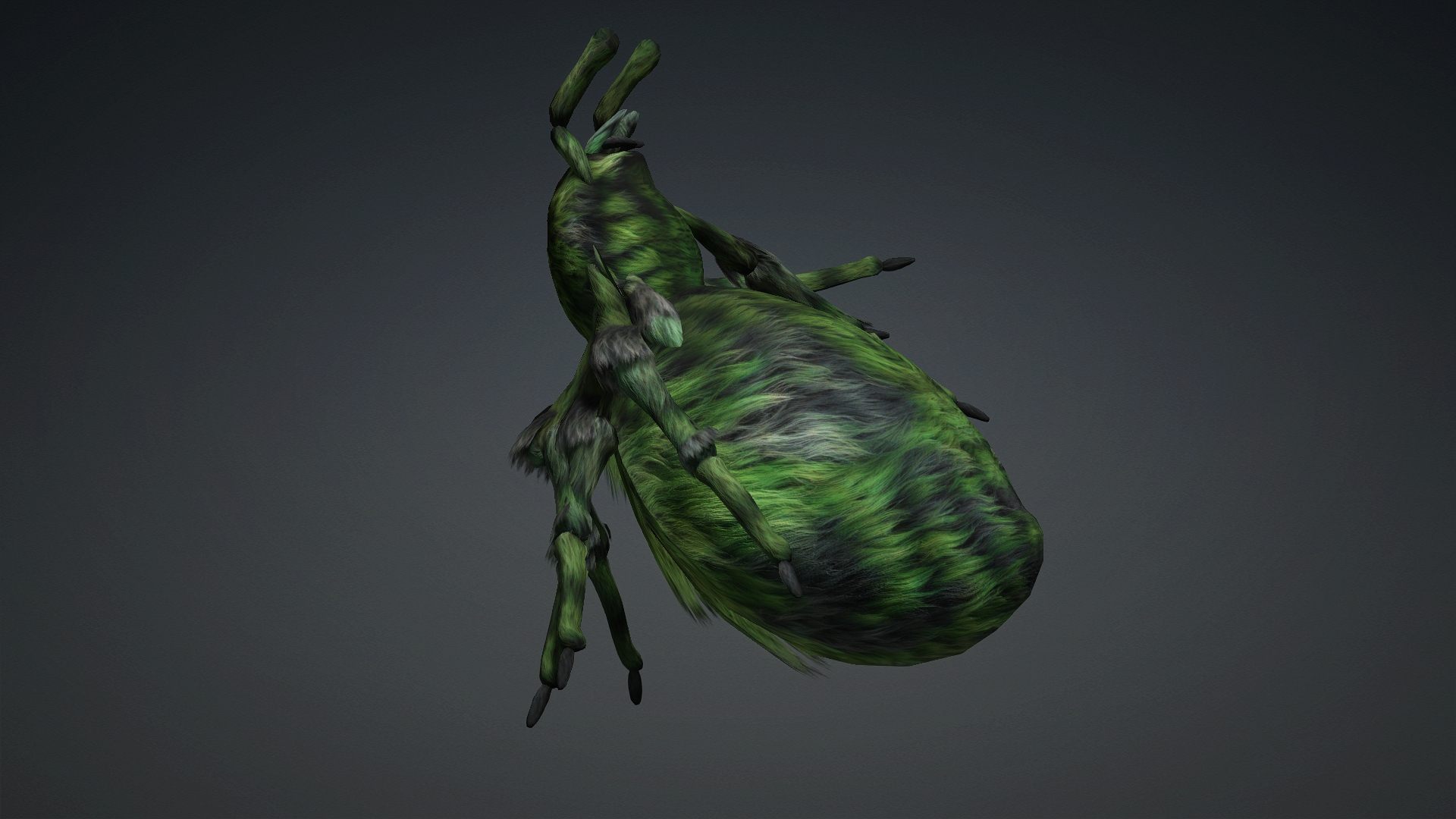 Spider_B4 - Image 13