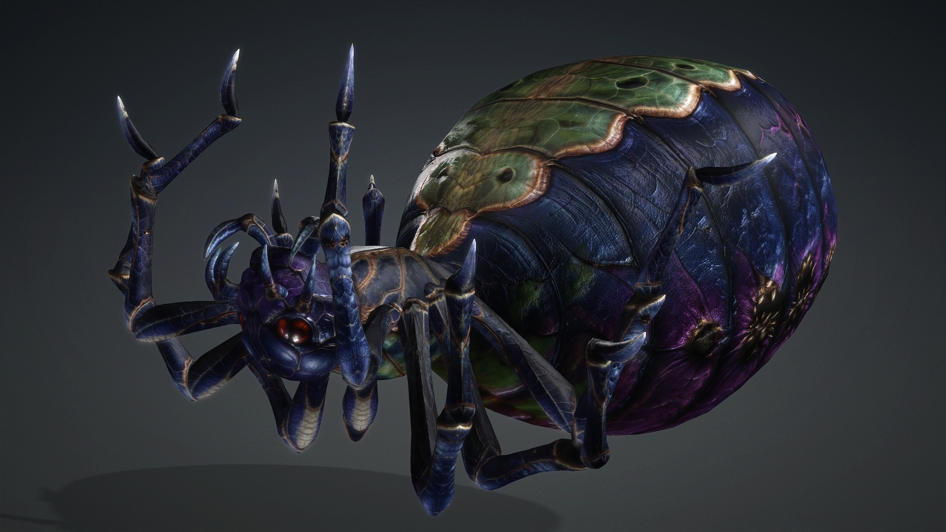 Spider_C3 - Image 13