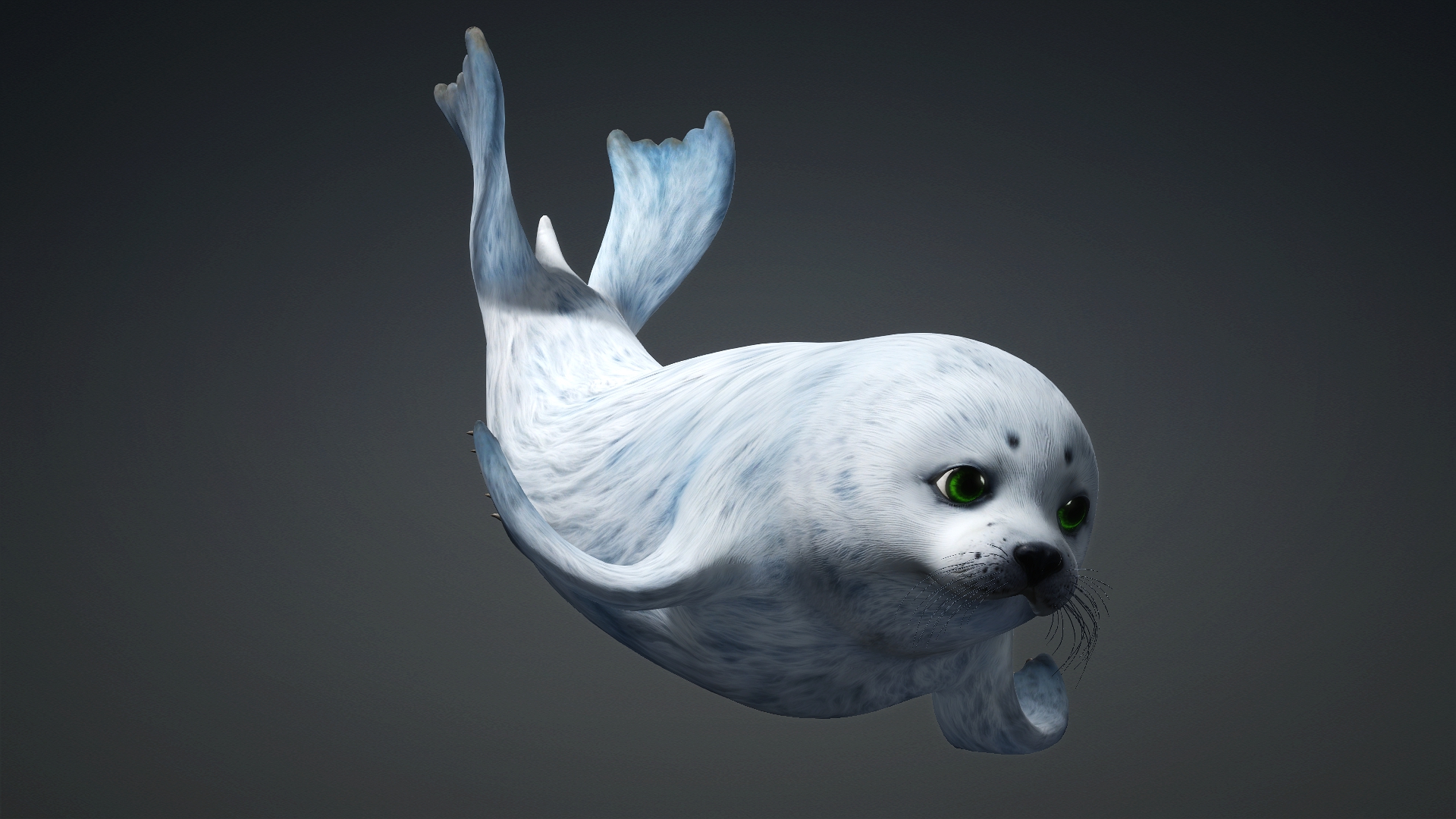 Harp Seal_A5 - Image 13