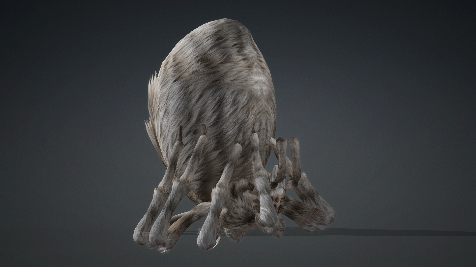 Spider_B1 - Image 14