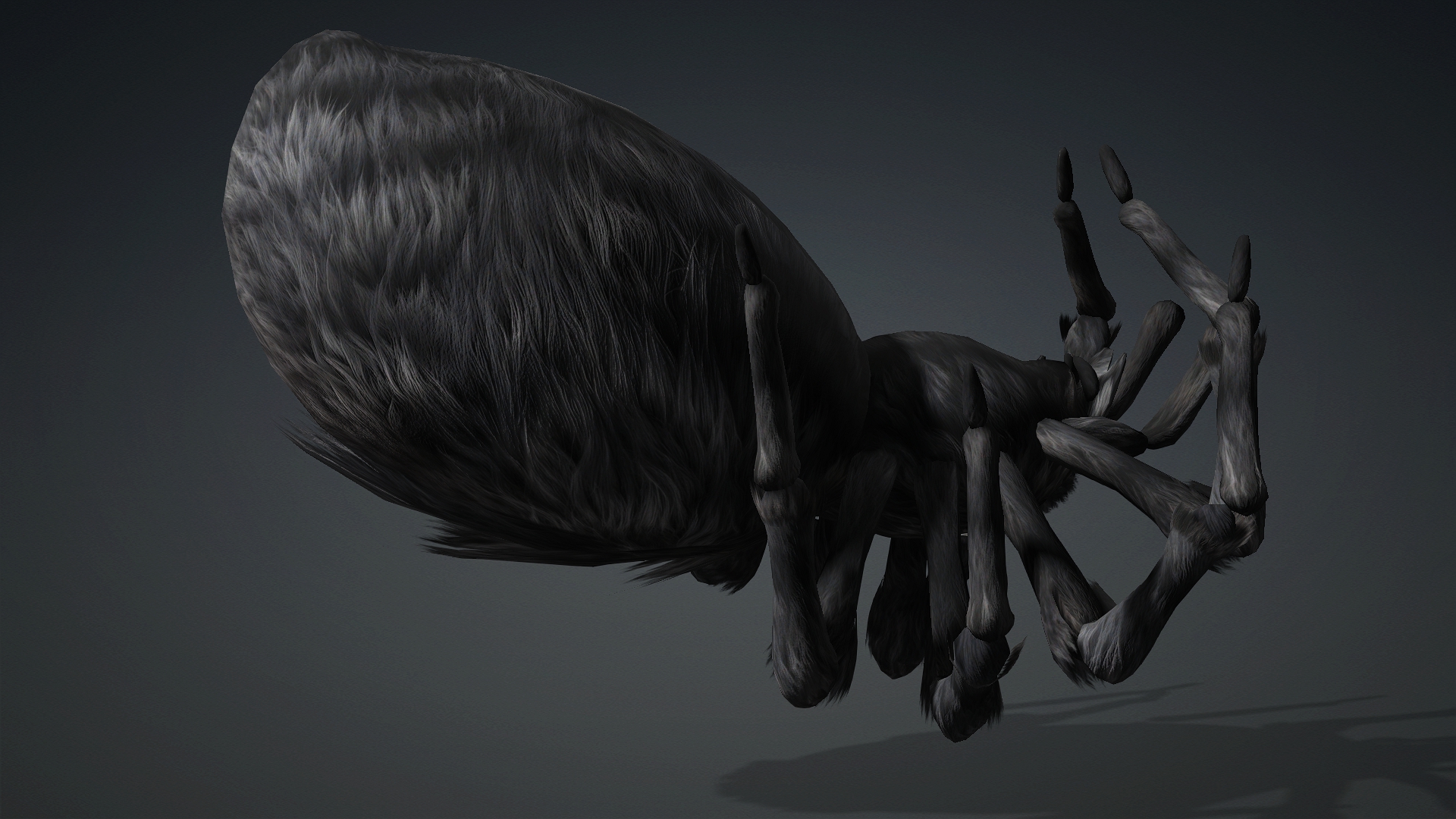 Spider_B2 - Image 14