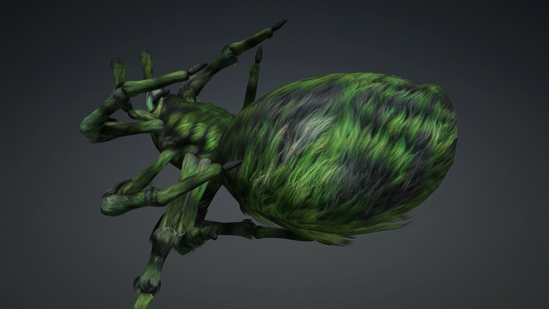 Spider_B4 - Image 14