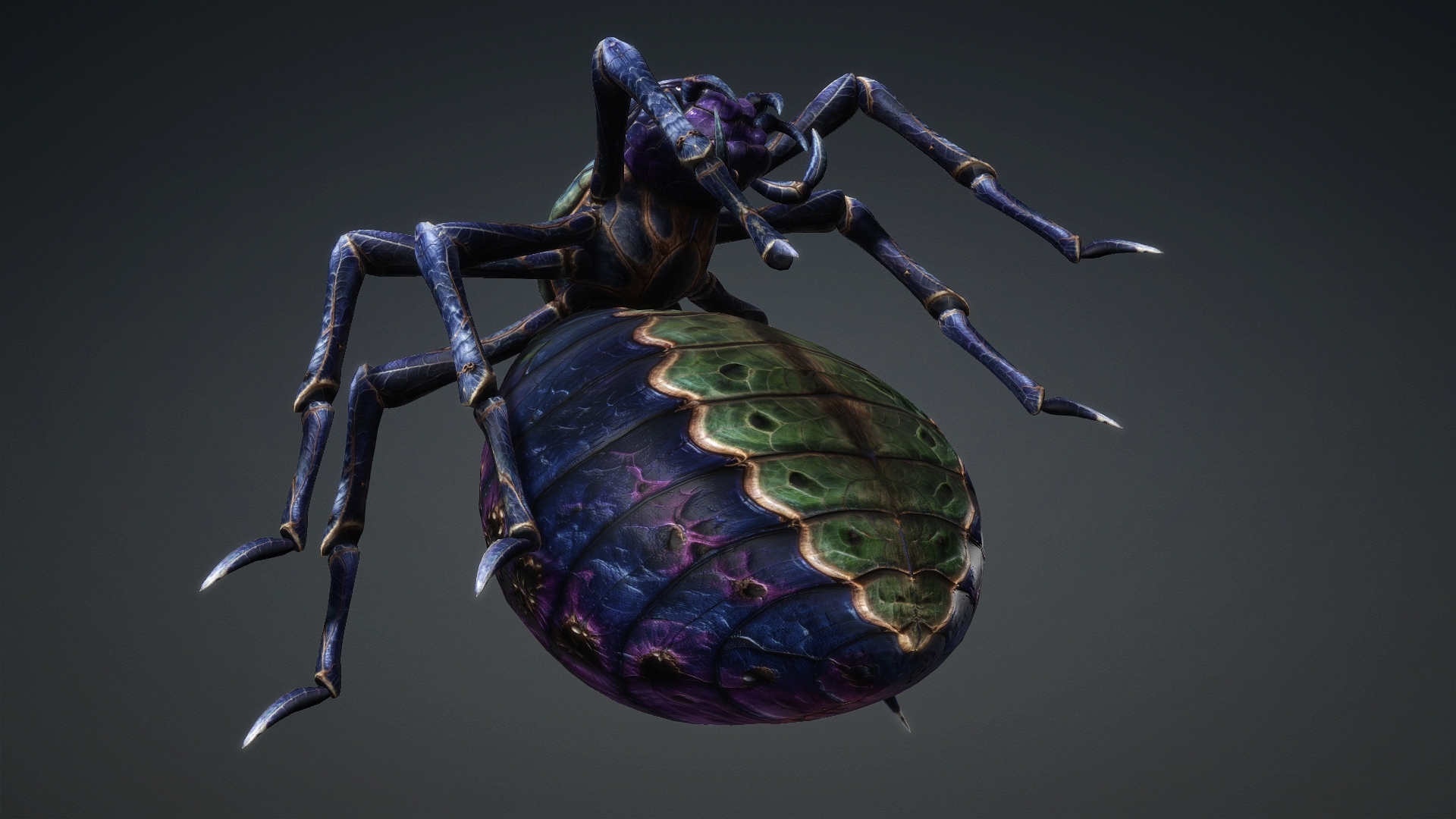 Spider_C3 - Image 14