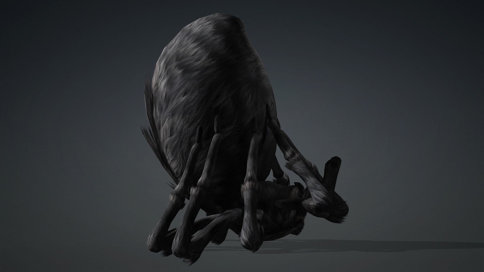 Spider_B2 - Image 15