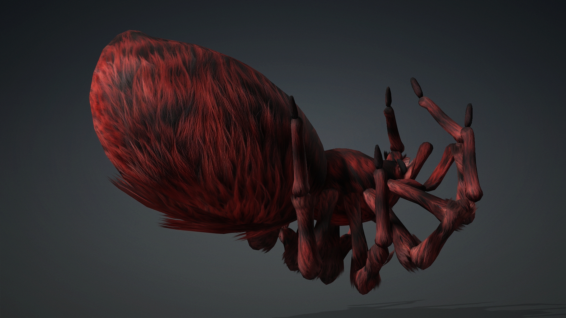 Spider_B3 - Image 15